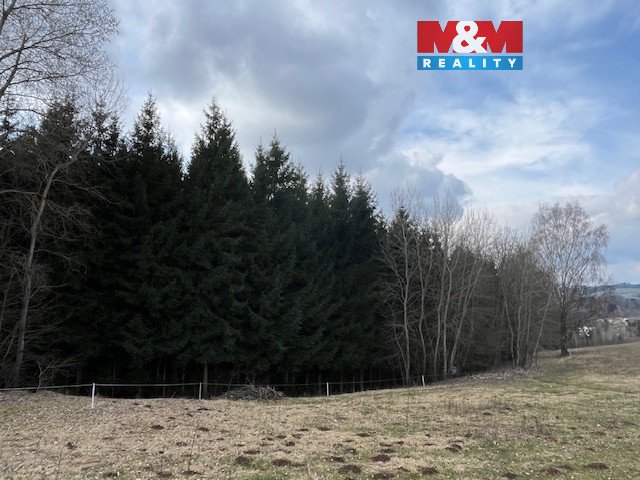 Prodej, les, 4.244 m², Košťálov-Kundratice