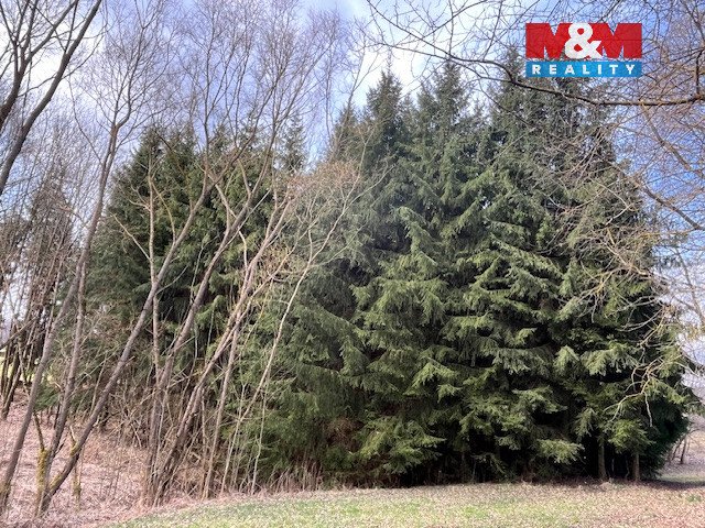 Prodej, les, 4.244 m², Košťálov-Kundratice