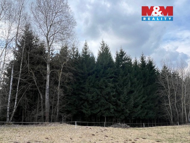 Prodej, les, 4.244 m², Košťálov-Kundratice