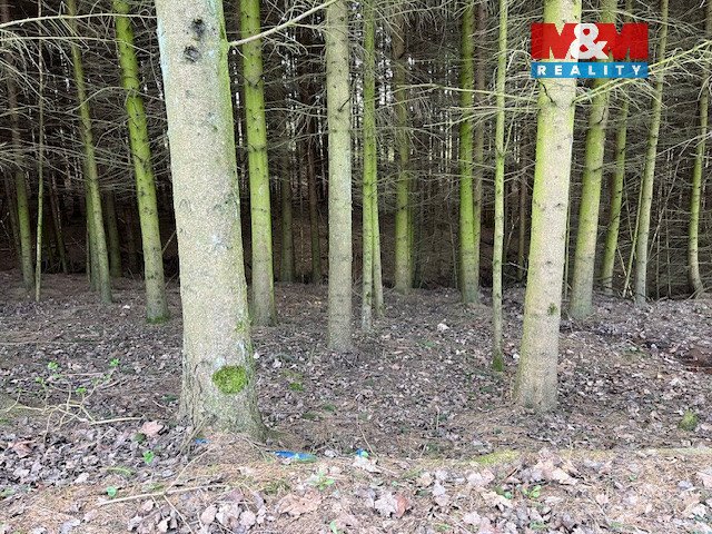 Prodej, les, 4.244 m², Košťálov-Kundratice