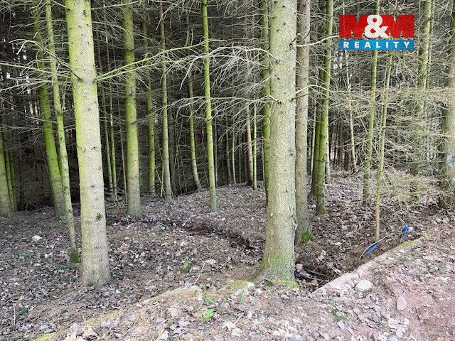 Prodej, les, 4.244 m², Košťálov-Kundratice
