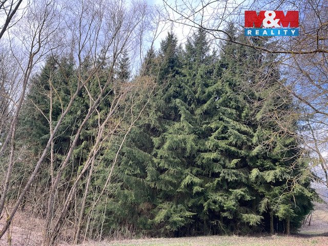 Prodej, les, 4.244 m², Košťálov-Kundratice