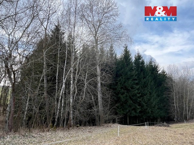 Prodej, les, 4.244 m², Košťálov-Kundratice