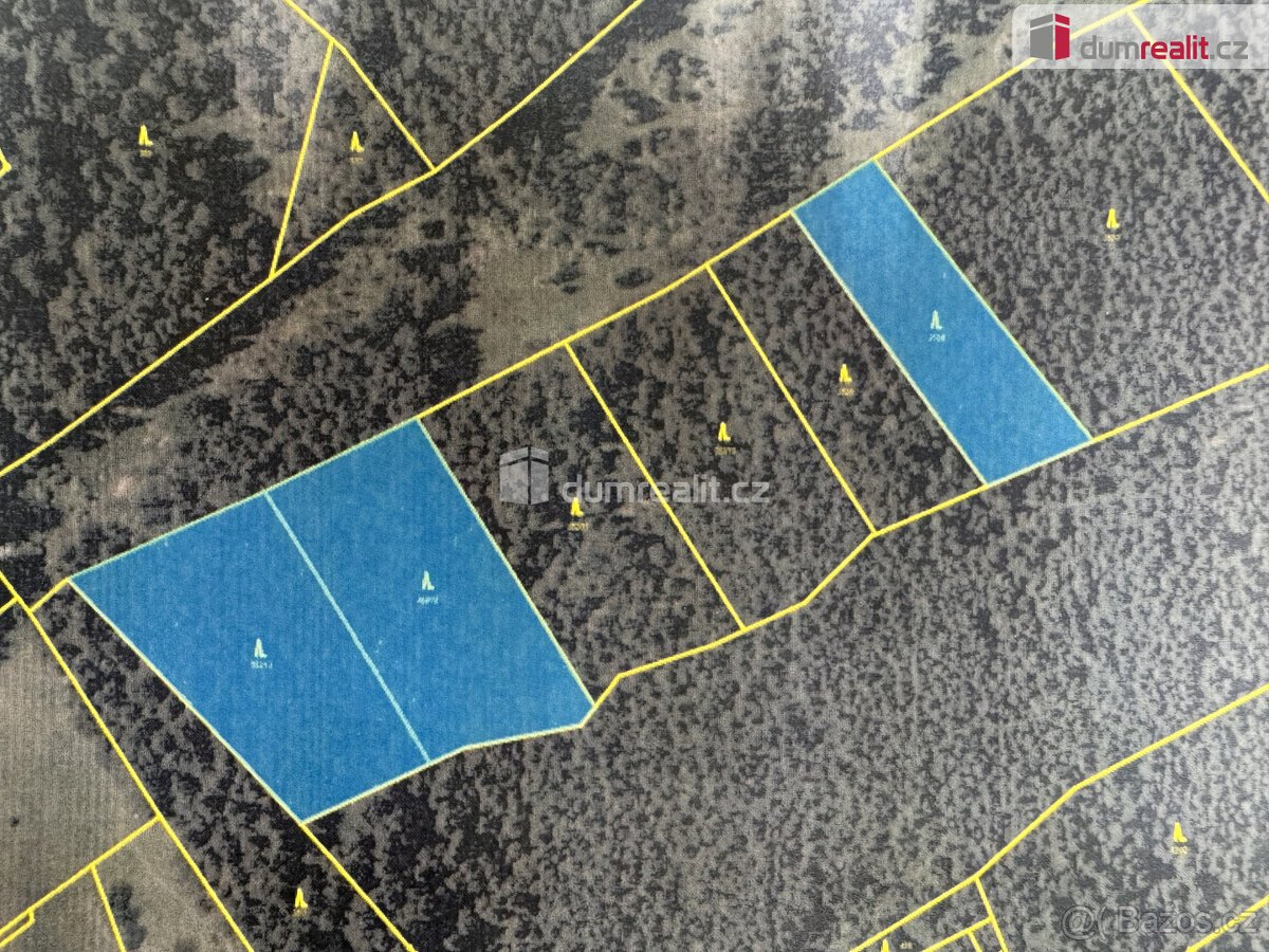 prodej lesa u obce Jelemek