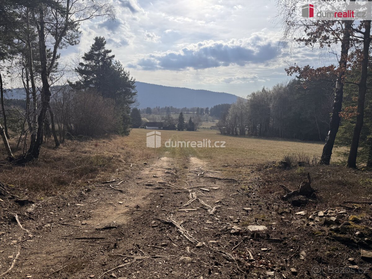 prodej lesa u obce Jelemek