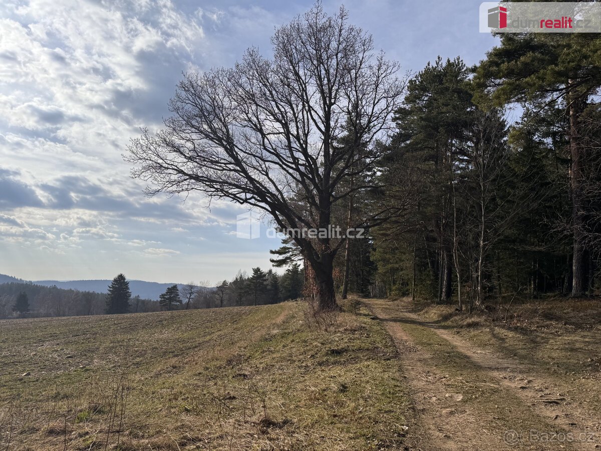 prodej lesa u obce Jelemek