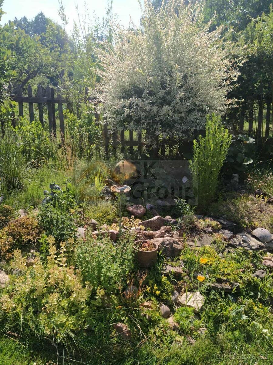 Prodej zahrady 569 m2 včetně dřevěné chaty