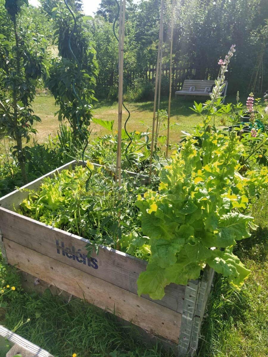 Prodej zahrady 569 m2 včetně dřevěné chaty