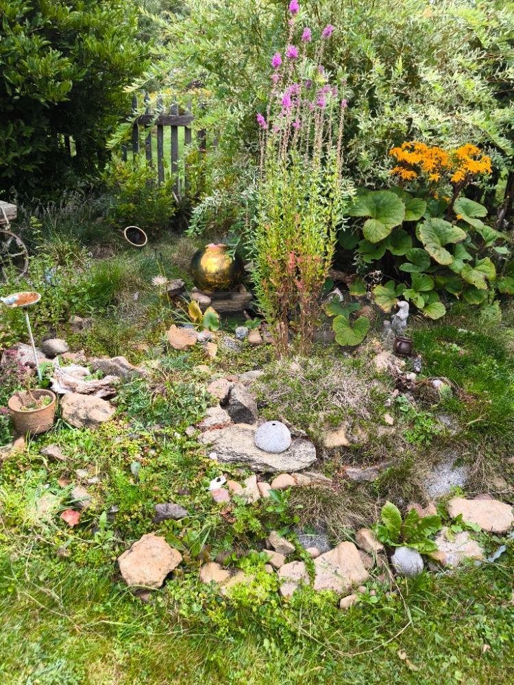 Prodej zahrady 569 m2 včetně dřevěné chaty