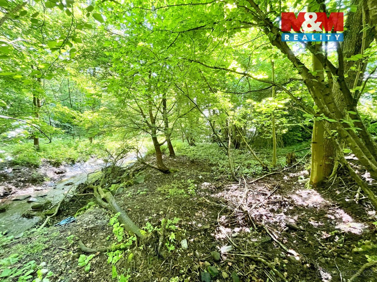 Prodej vodní plochy, 3255 m², Skalice u České Lípy