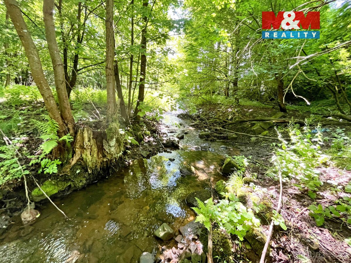 Prodej vodní plochy, 3255 m², Skalice u České Lípy