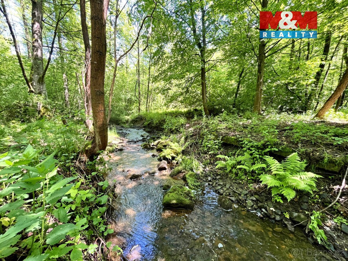 Prodej vodní plochy, 3255 m², Skalice u České Lípy