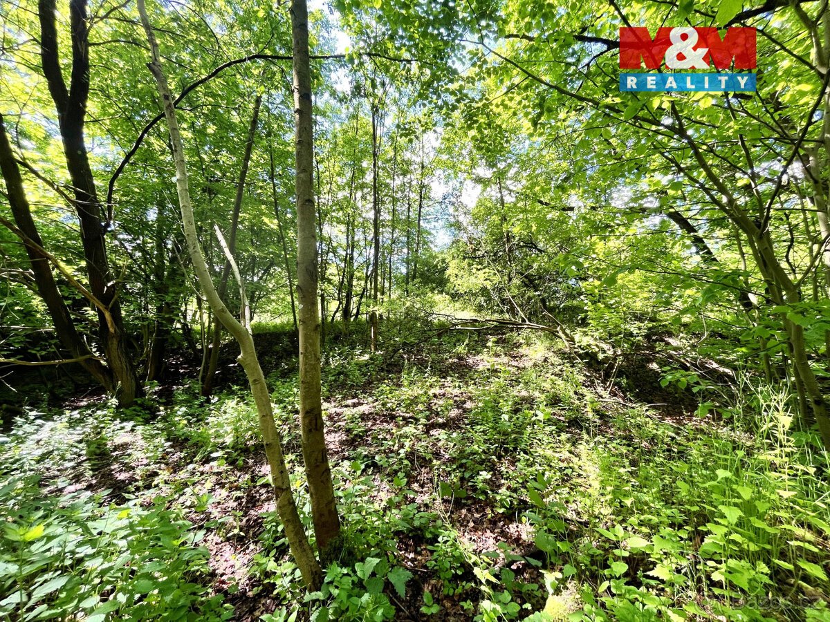 Prodej vodní plochy, 3255 m², Skalice u České Lípy