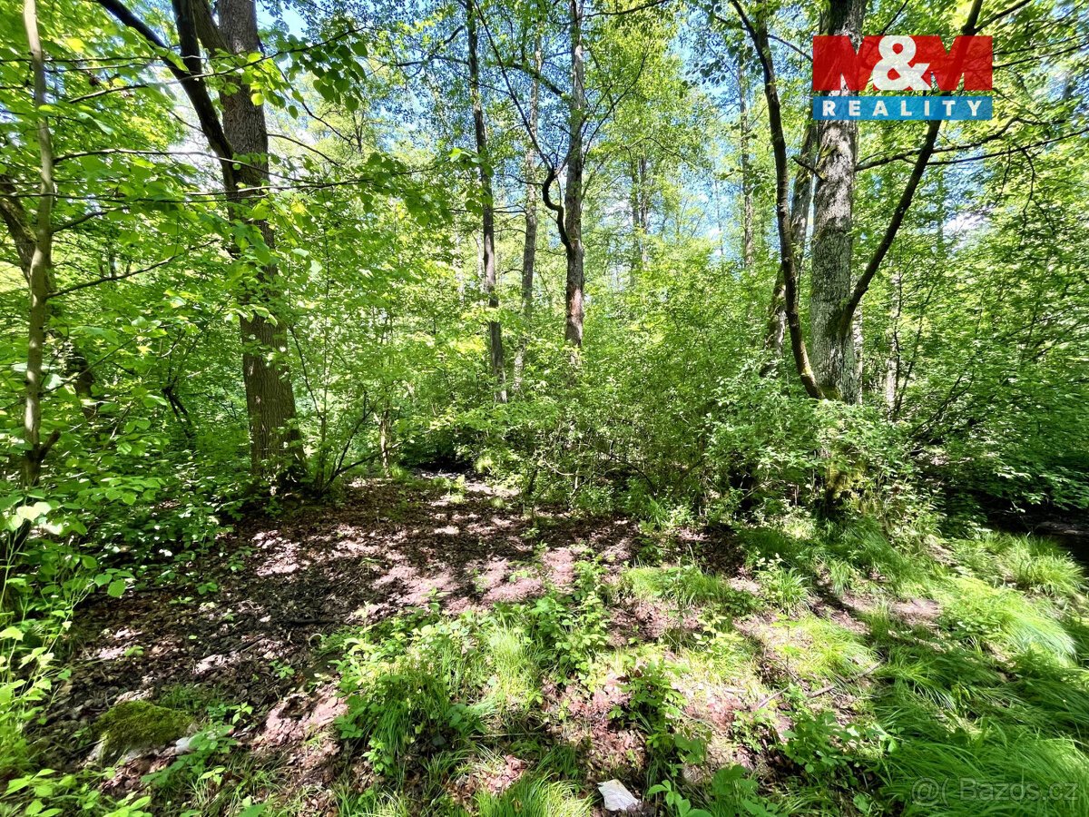 Prodej vodní plochy, 3255 m², Skalice u České Lípy