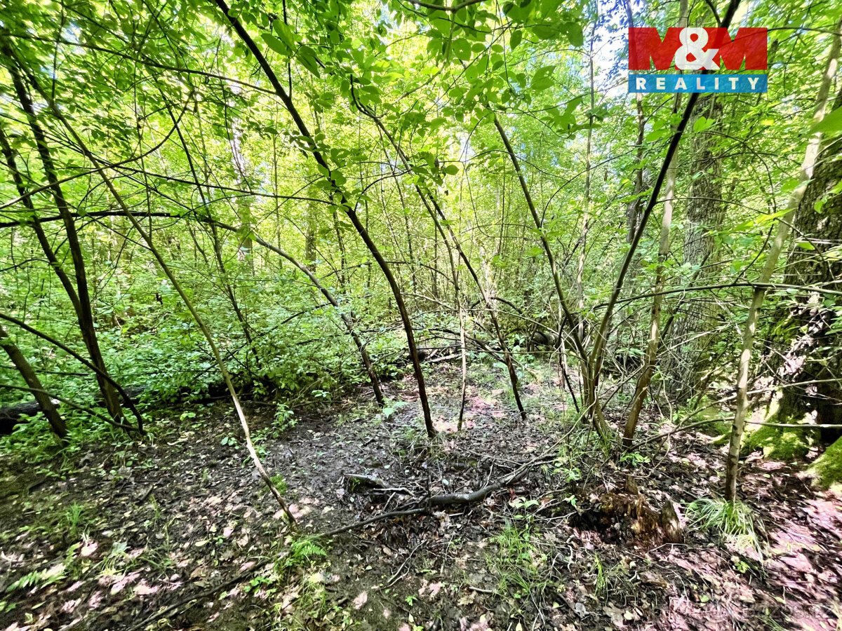 Prodej vodní plochy, 3255 m², Skalice u České Lípy