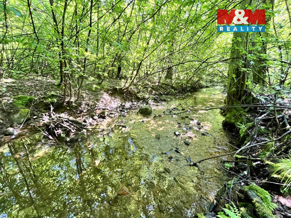 Prodej vodní plochy, 3255 m², Skalice u České Lípy