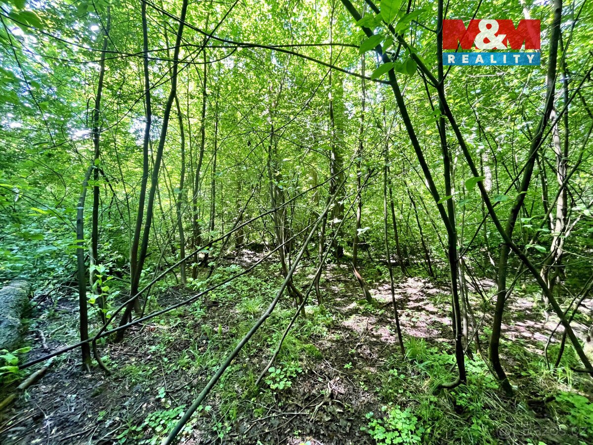 Prodej vodní plochy, 3255 m², Skalice u České Lípy