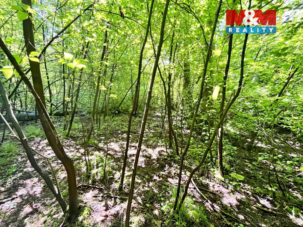 Prodej vodní plochy, 3255 m², Skalice u České Lípy