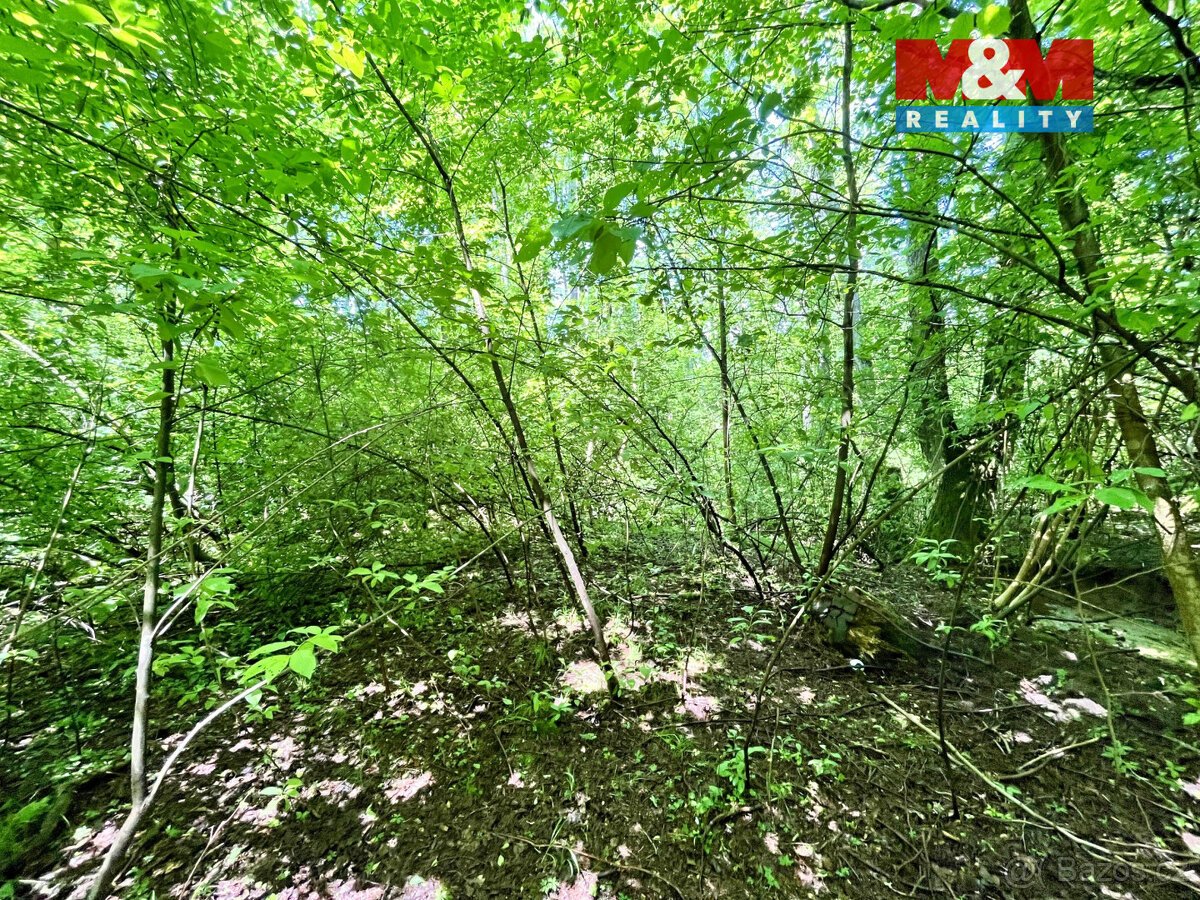 Prodej vodní plochy, 3255 m², Skalice u České Lípy