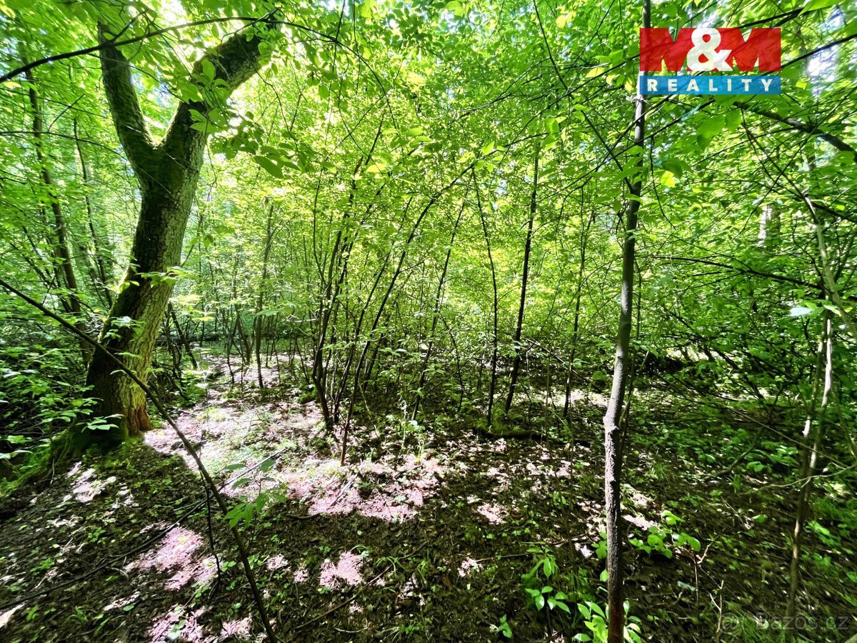 Prodej vodní plochy, 3255 m², Skalice u České Lípy