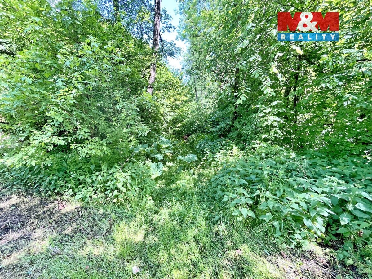 Prodej vodní plochy, 3255 m², Skalice u České Lípy