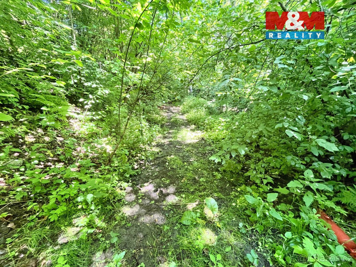 Prodej vodní plochy, 3255 m², Skalice u České Lípy