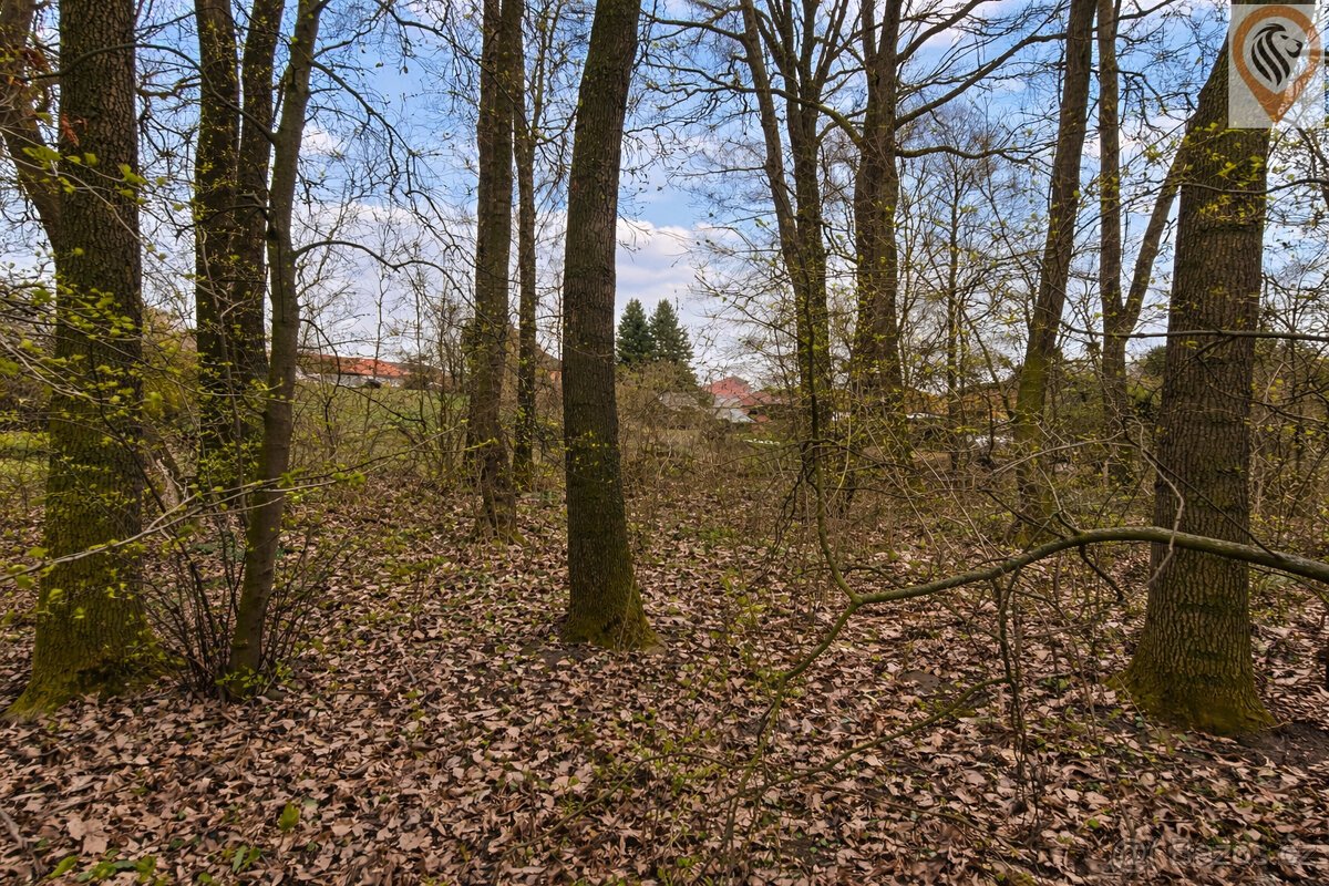 Výjimečný stavební pozemek s privátní zelení – Barchov u Par