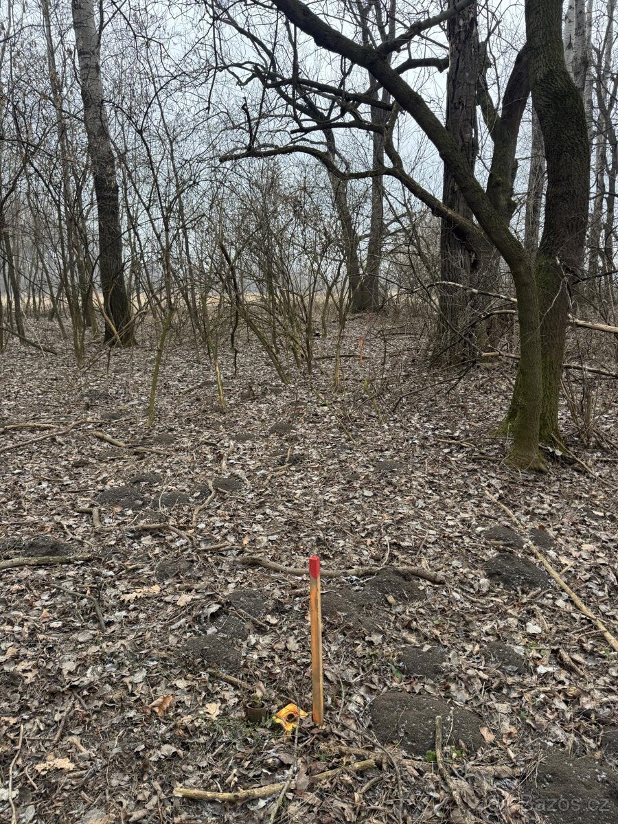Prodej pozemků k.ú. Milokošť