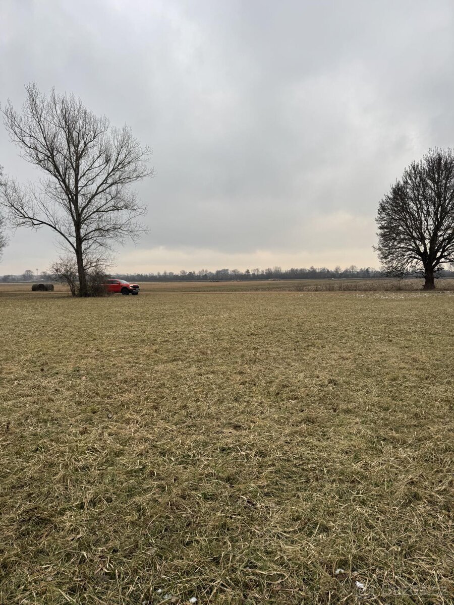 Prodej pozemků k.ú. Milokošť