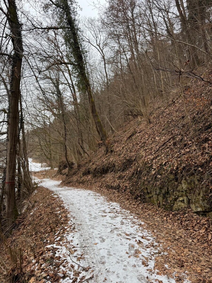 Prodej lesního pozemku k.ú. Rájov