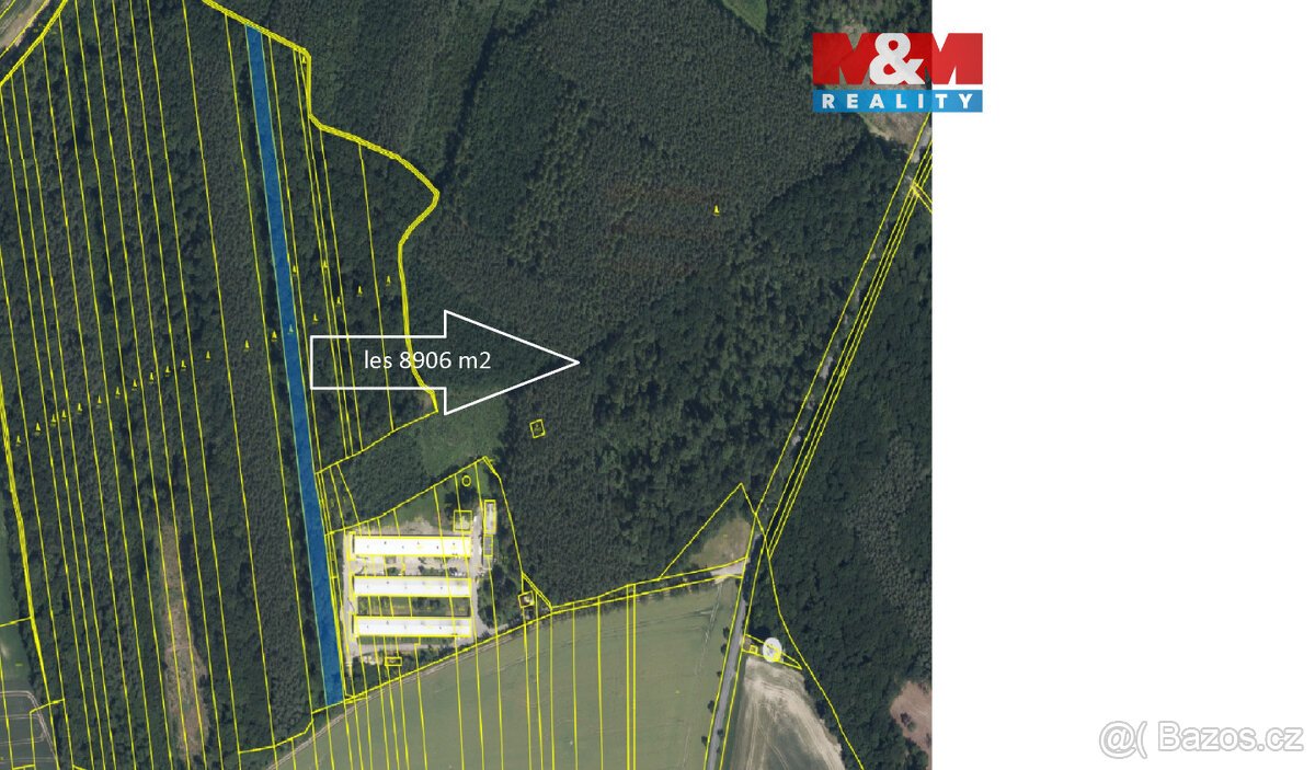 Prodej lesa, 8906 m², Městec Králové
