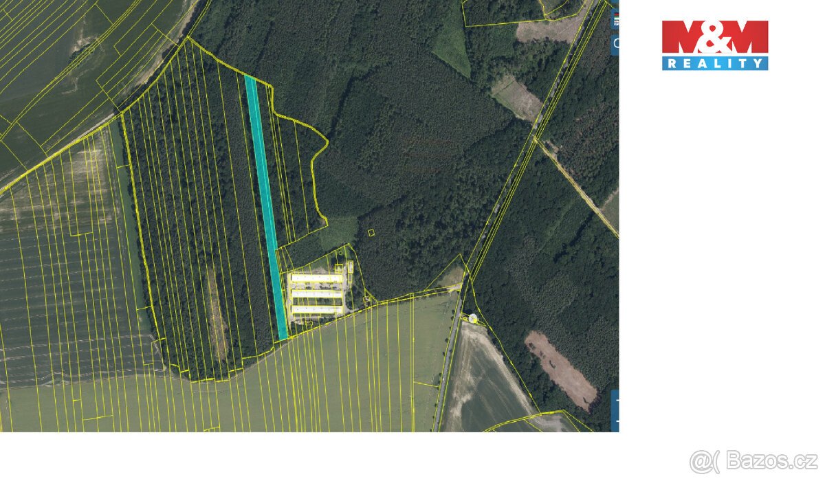 Prodej lesa, 8906 m², Městec Králové