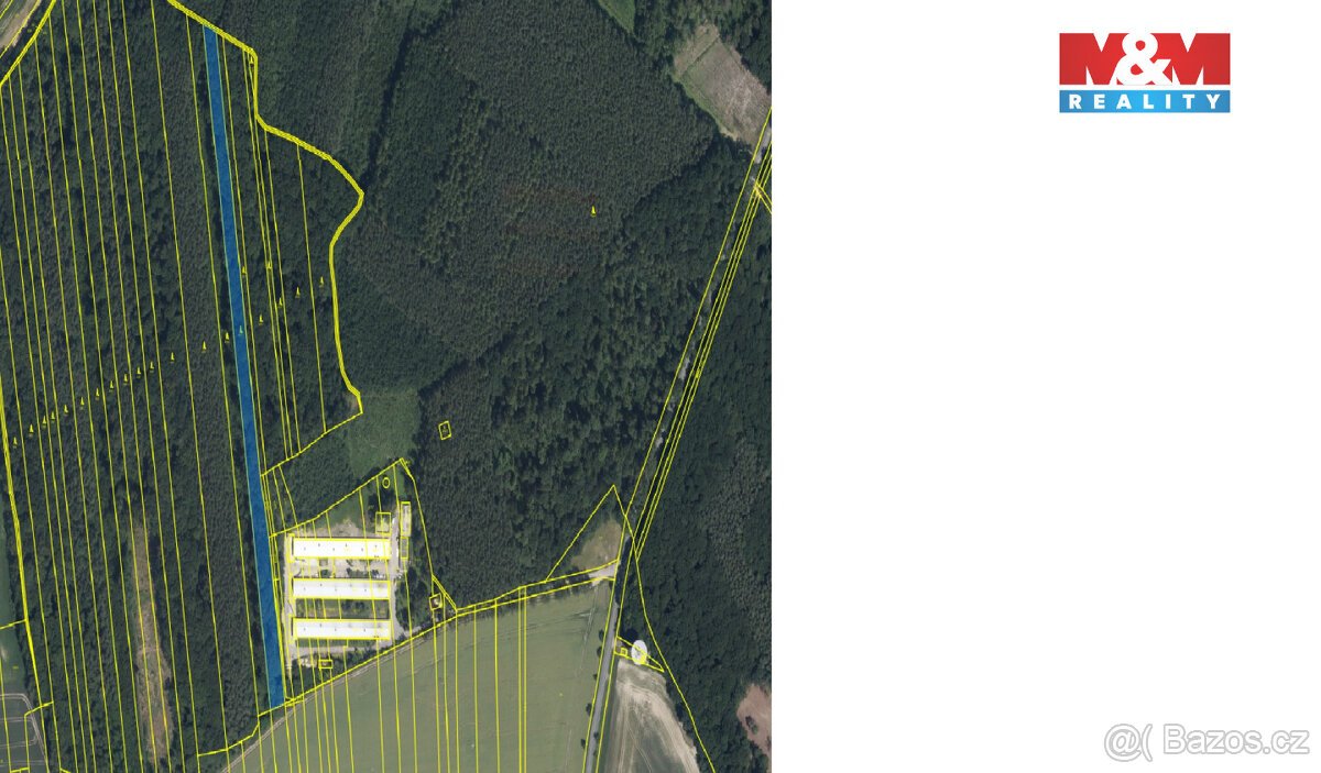 Prodej lesa, 8906 m², Městec Králové