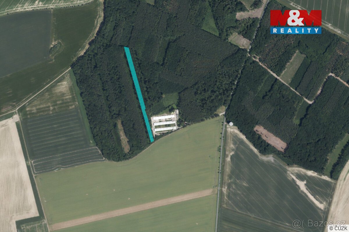 Prodej lesa, 8906 m², Městec Králové