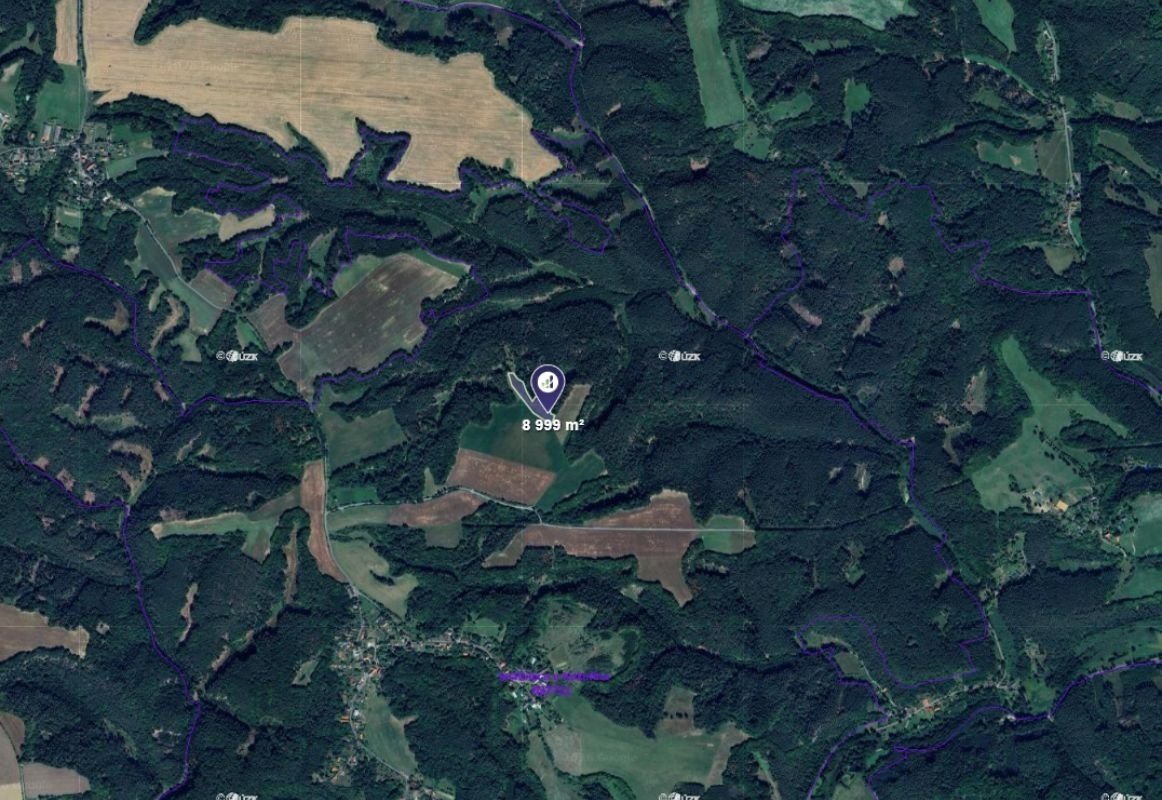 Prodej pole v k.ú. Jestřebice u Kokořína