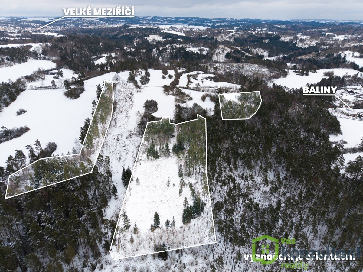 Prodej lesa 27 483 m², Baliny, ev.č. 00993