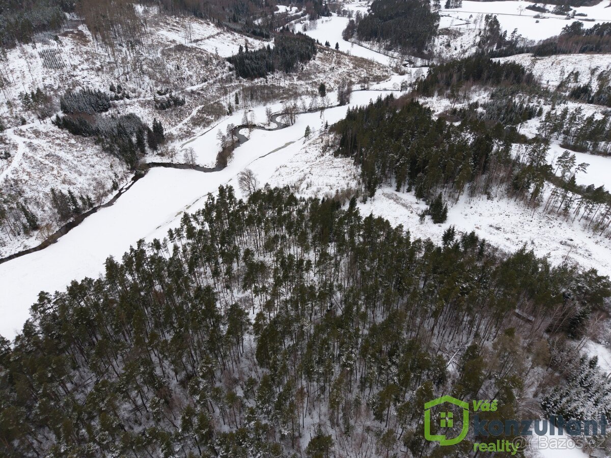 Prodej lesa 27 483 m², Baliny, ev.č. 00993