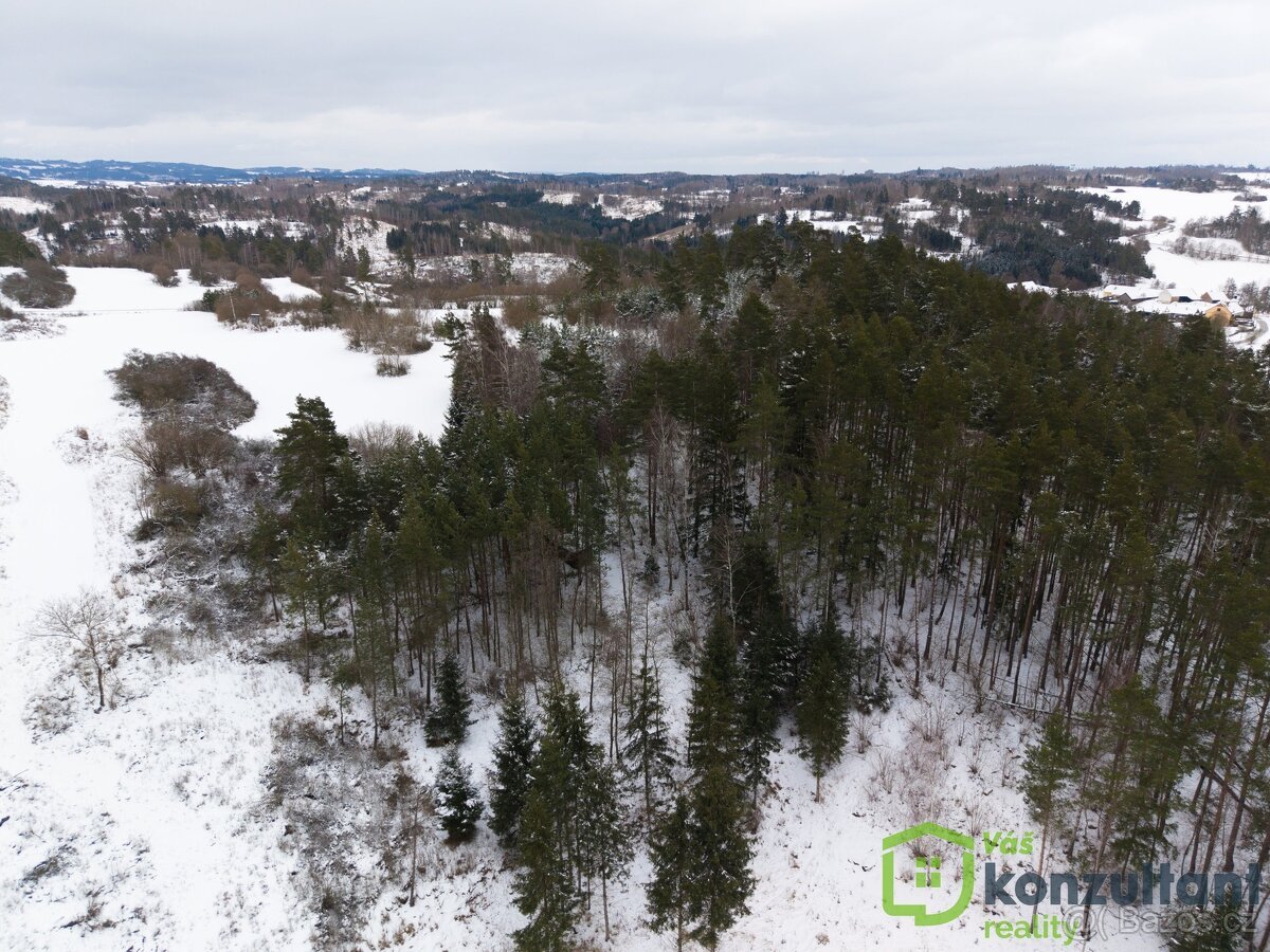 Prodej lesa 27 483 m², Baliny, ev.č. 00993