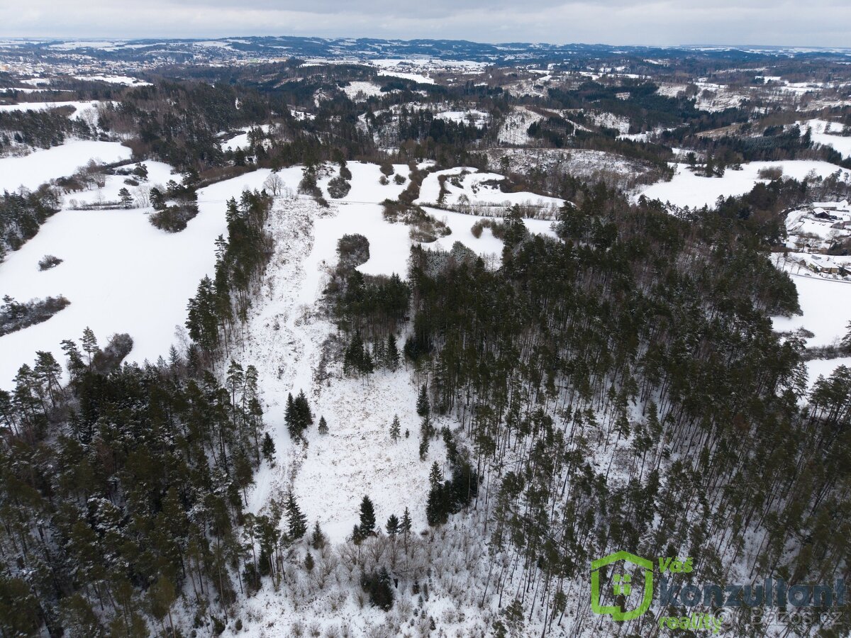 Prodej lesa 27 483 m², Baliny, ev.č. 00993