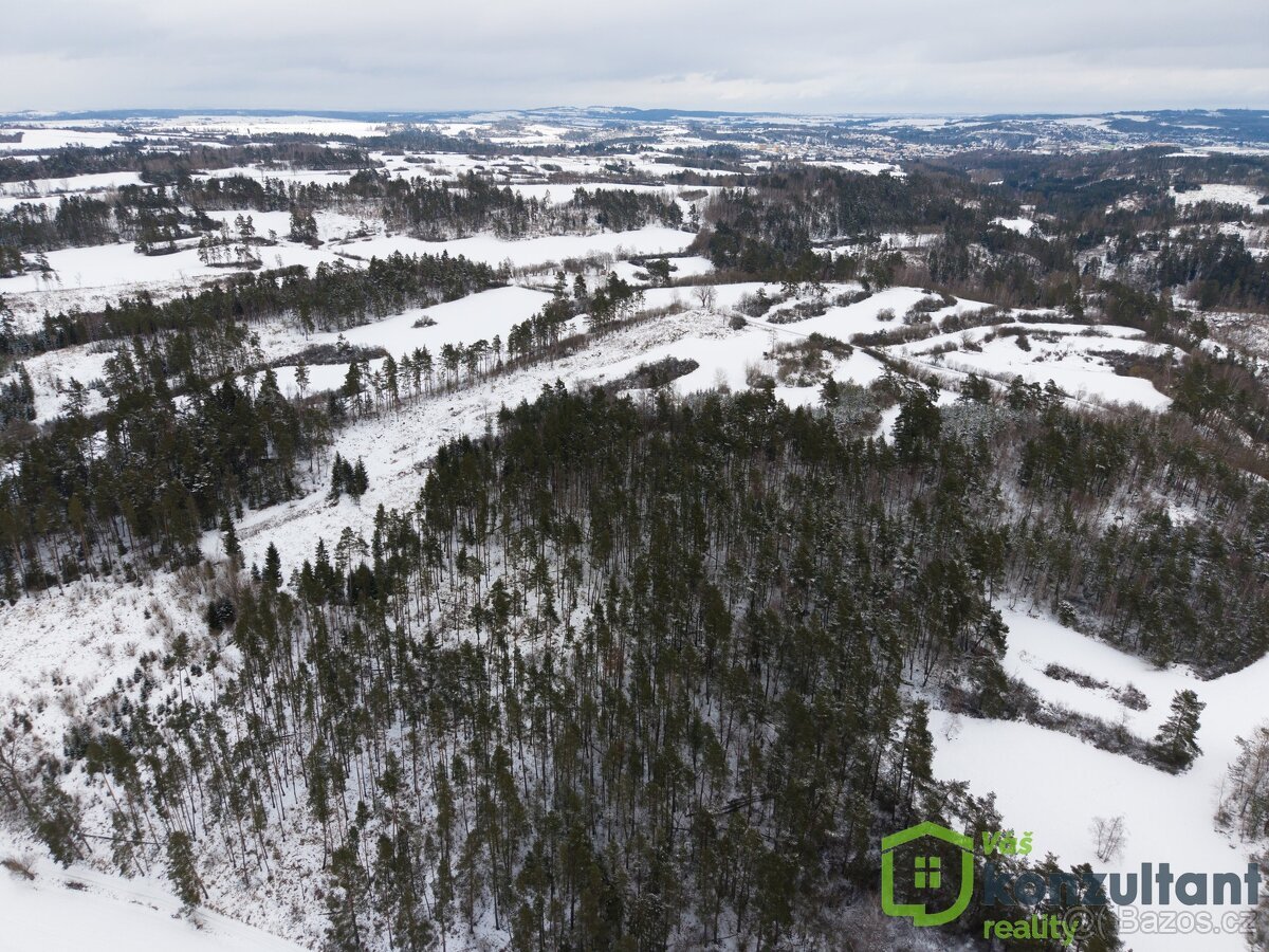 Prodej lesa 27 483 m², Baliny, ev.č. 00993