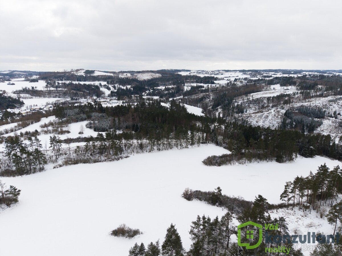 Prodej lesa 27 483 m², Baliny, ev.č. 00993