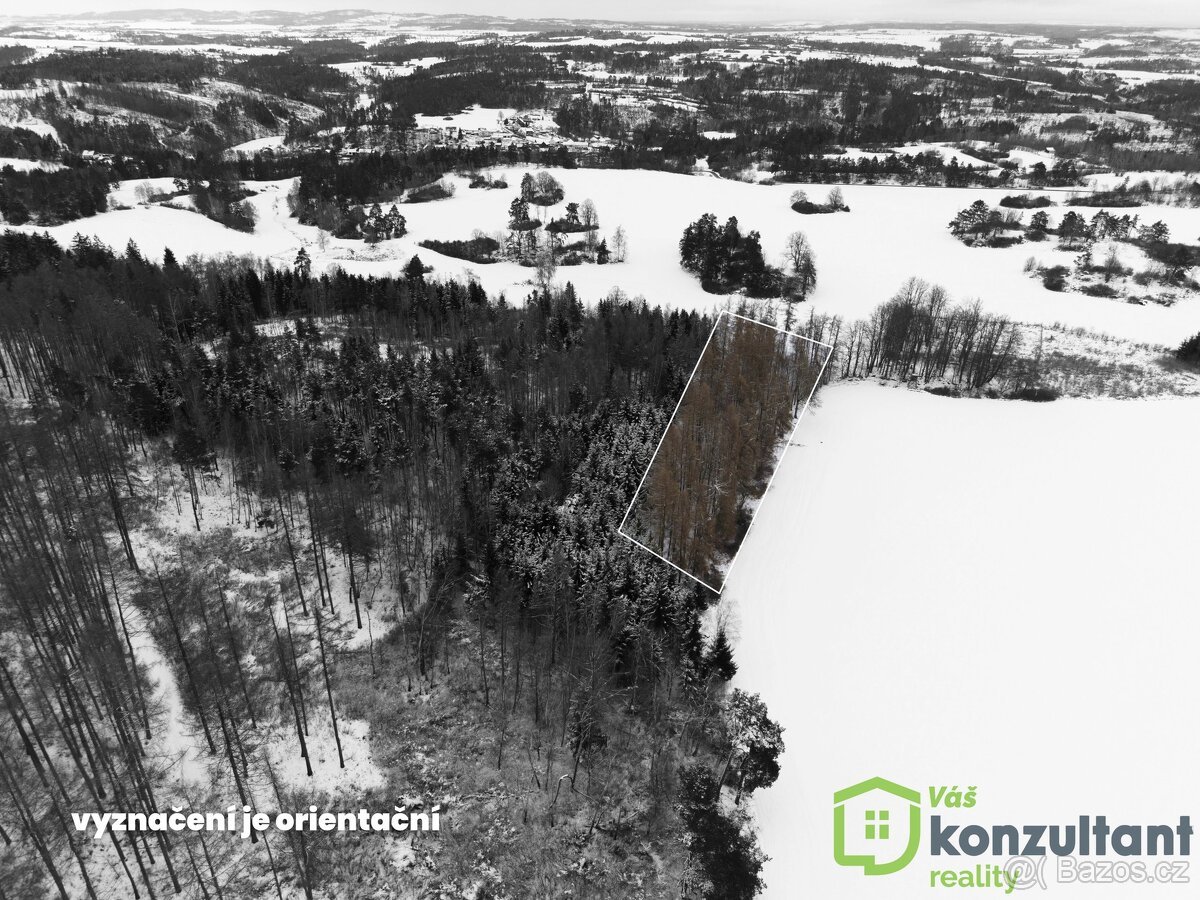 Prodej lesa 27 483 m², Baliny, ev.č. 00993