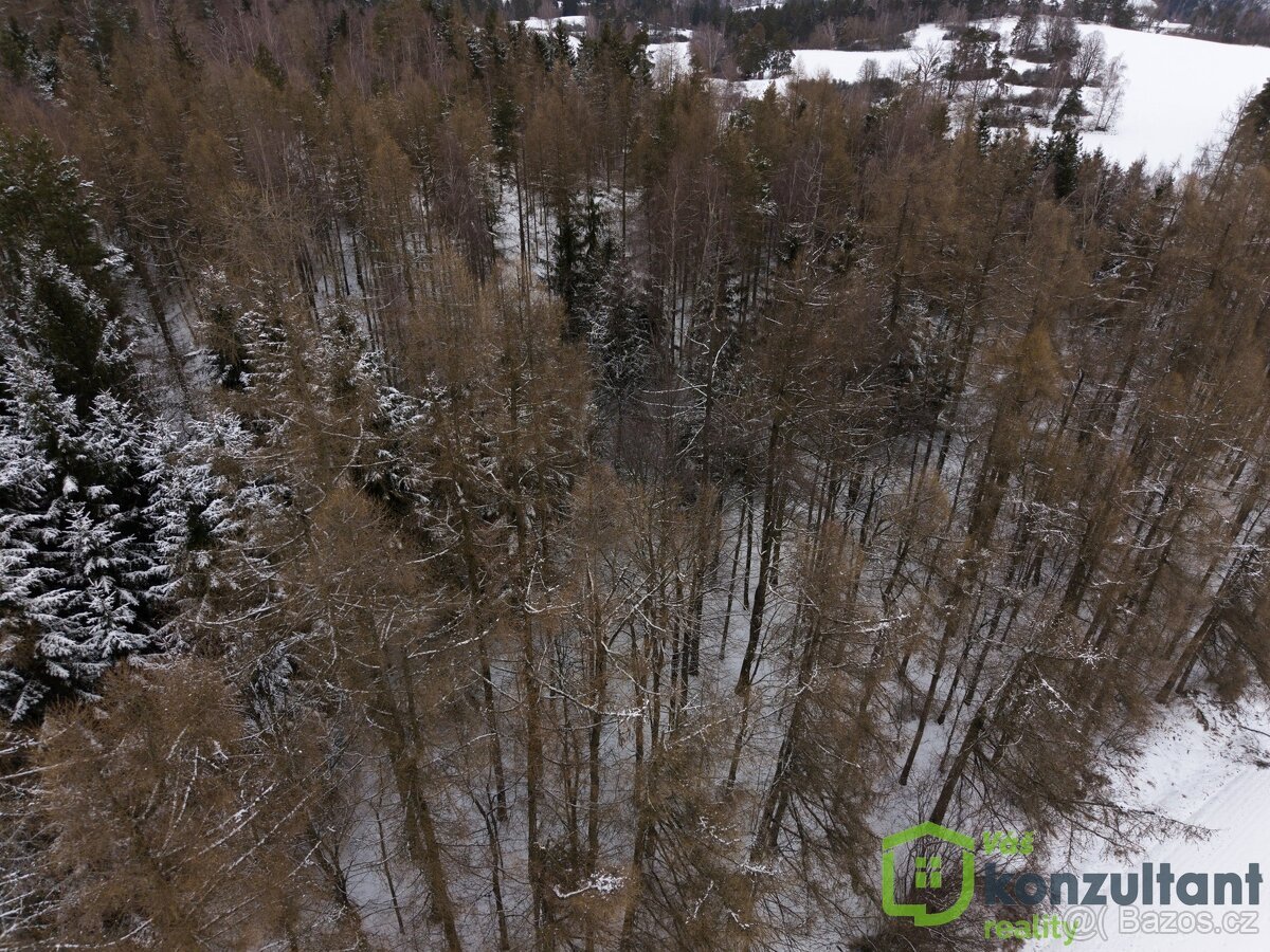 Prodej lesa 27 483 m², Baliny, ev.č. 00993