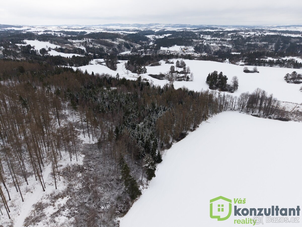 Prodej lesa 27 483 m², Baliny, ev.č. 00993