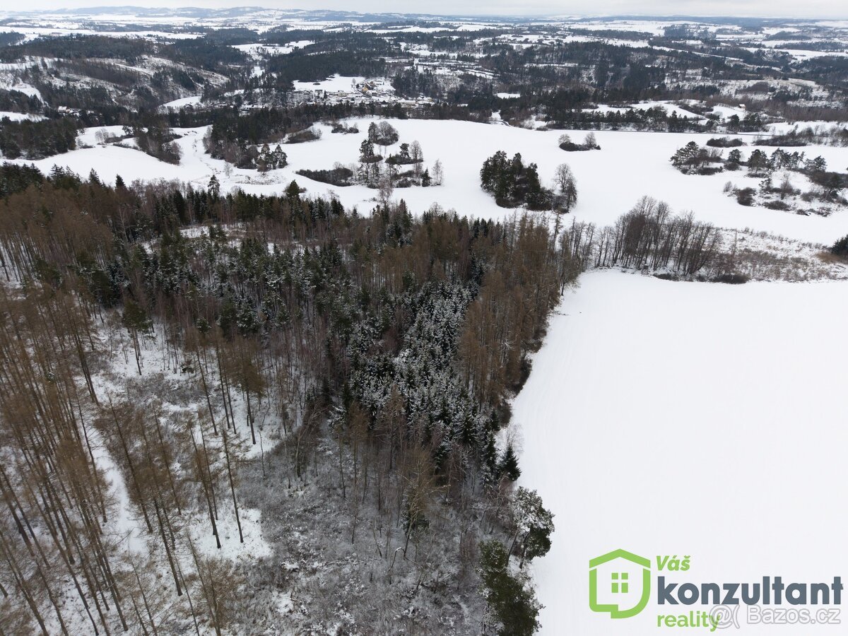 Prodej lesa 27 483 m², Baliny, ev.č. 00993