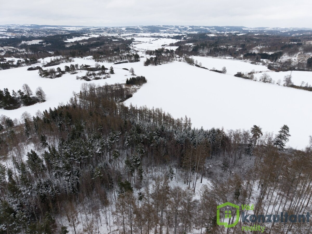 Prodej lesa 27 483 m², Baliny, ev.č. 00993