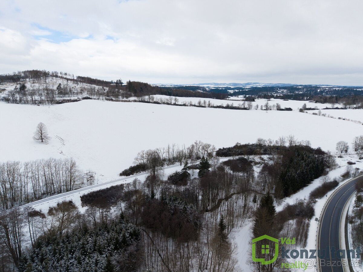 Prodej lesa 27 483 m², Baliny, ev.č. 00993