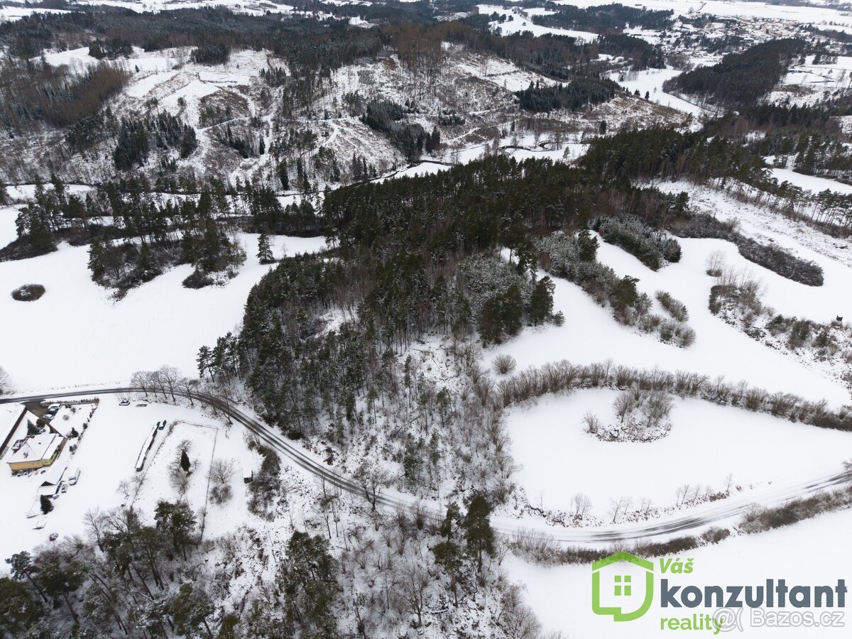 Prodej lesa 27 483 m², Baliny, ev.č. 00993