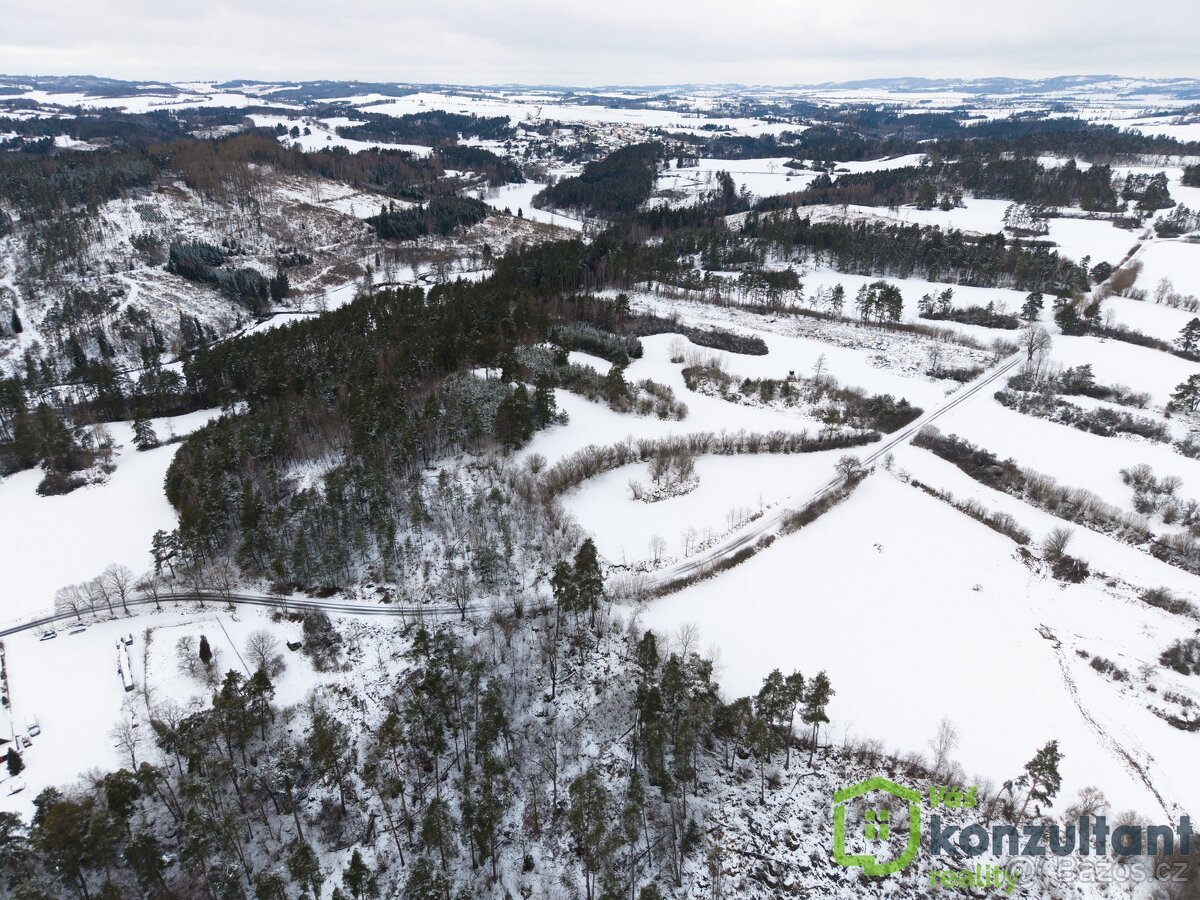 Prodej lesa 27 483 m², Baliny, ev.č. 00993