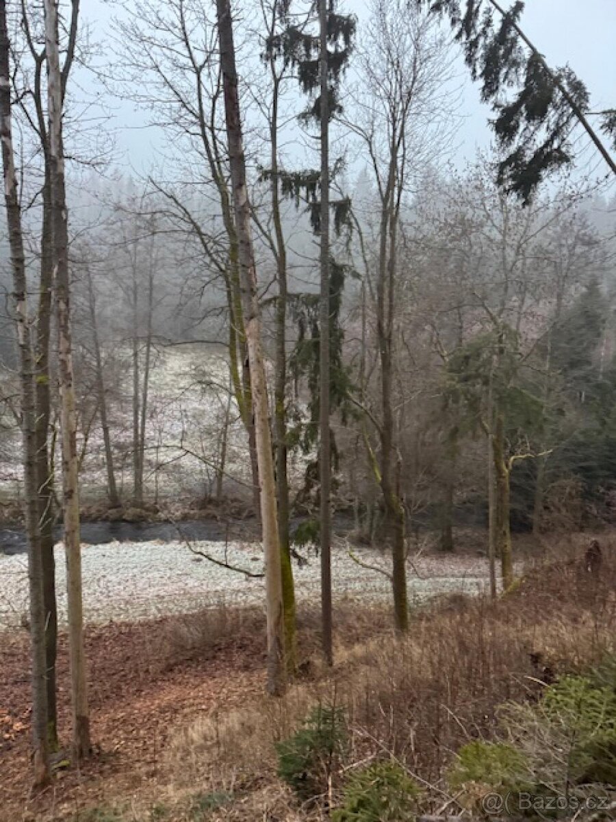 Prodej lesních pozemků k.ú. Nespice